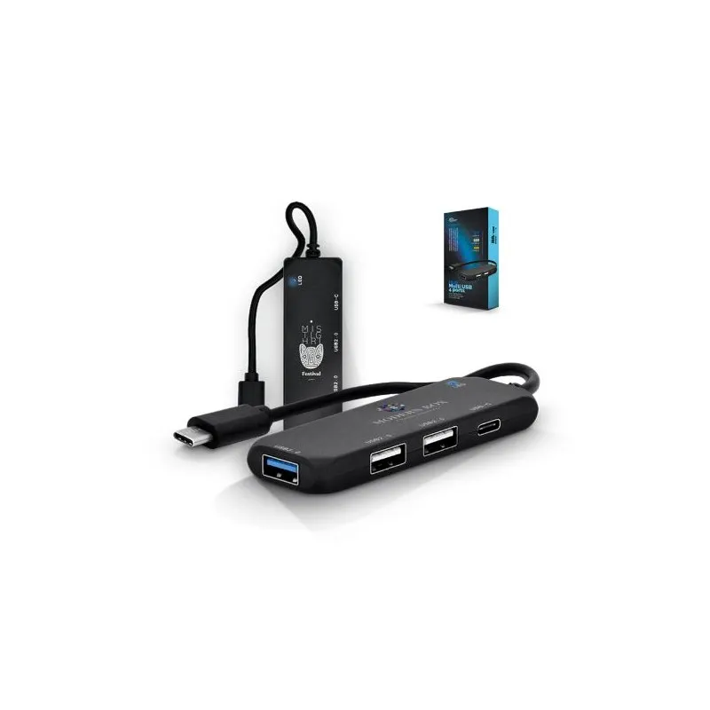 HUB MULTIPORT USB TYPE-C Écologique et Personnalisé RABS Matières : carton recyclé Couleurs : naturel