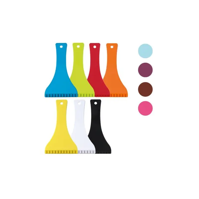 Raclette Grattoir de Voiture avec Manche