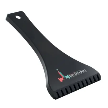 Raclette Grattoir de Voiture avec Manche