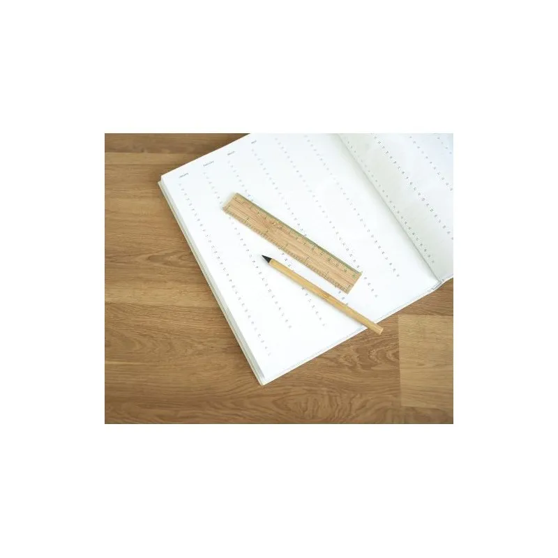 Règle Publicitaire Personnalisable 30 cm