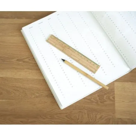 Règle Publicitaire Personnalisable 30 cm