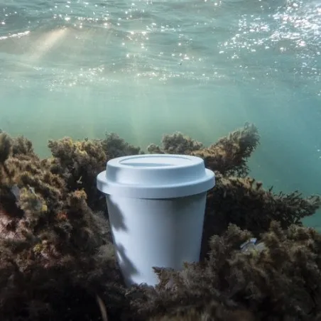 Gobelet Jetable Petel - Écologique et Pratique