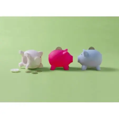 Tirelire Roger : l'accessoire fun et pratique