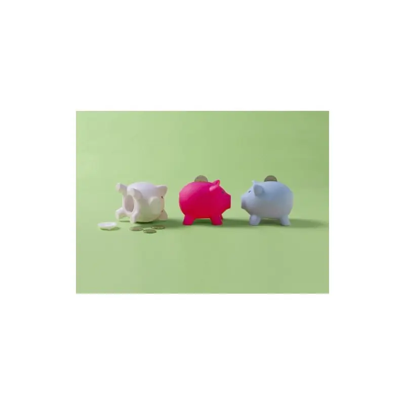 Tirelire Roger : l'accessoire fun et pratique