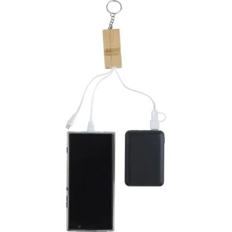 Porte-clés publicitaire en bambou avec câble de charge USB-C - Sutton Matières : cire Couleurs : champagne impression haute défi