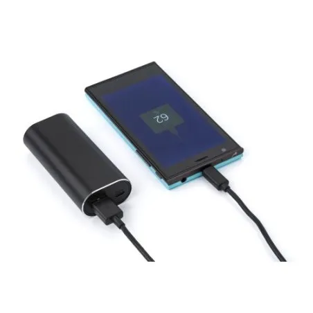 Power Bank avec Oreillettes Letitia - Chargez et Écoutez