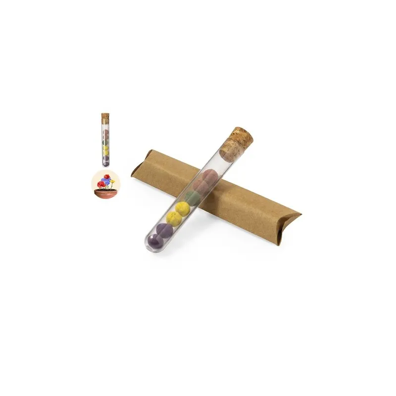 Set Bonbon Graines Dinaclex - Kit de Potager Écologique