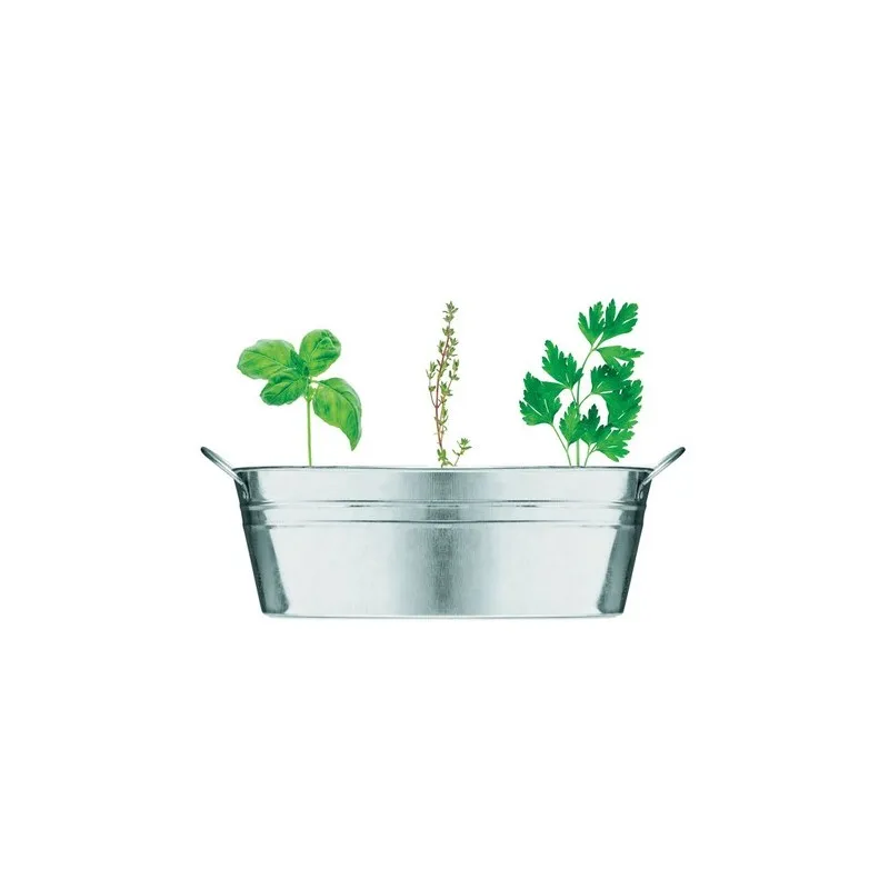 Bac en zinc écologique avec herbes aromatiques personnalisées - MIX SEEDS Matières : coton Taille textile : XL Couleurs : rouge 