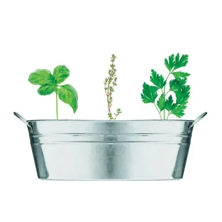 Bac en zinc écologique avec herbes aromatiques personnalisées - MIX SEEDS Matières : coton Taille textile : XL Couleurs : rouge 