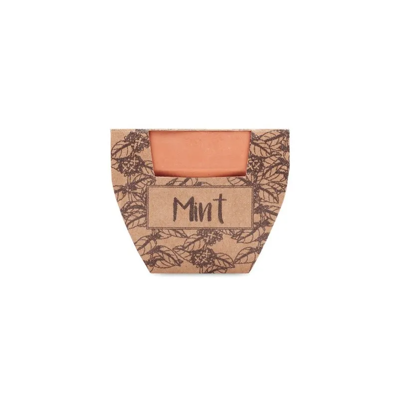 Pot à Menthe Écologique - MINT POT