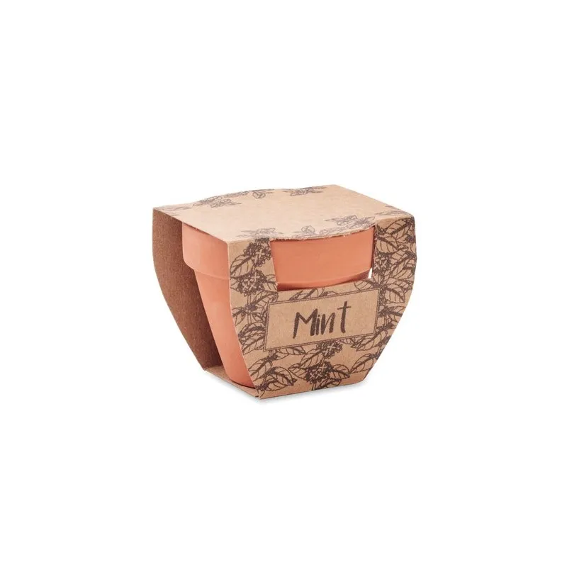 Pot à Menthe Écologique - MINT POT