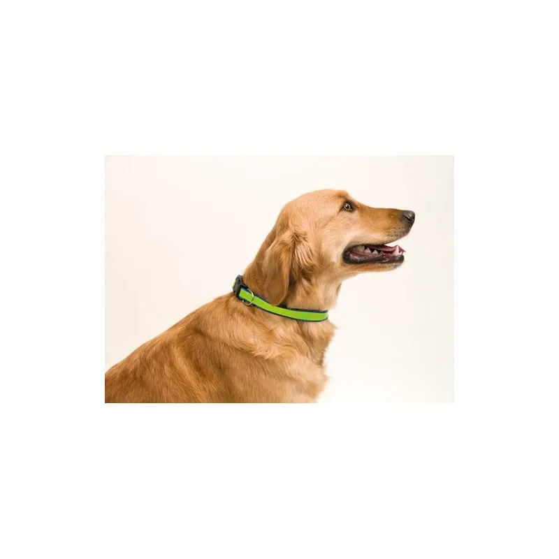 Collier Muttley : Élégance et Sécurité