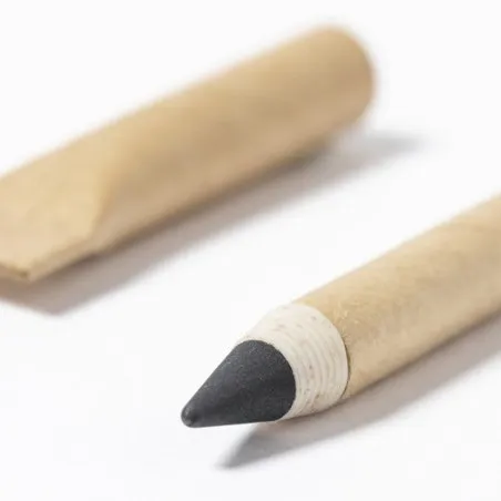 Crayon Éternel Yeidy : Écriture Écologique et Durable