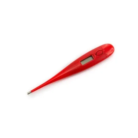 Thermomètre Digital Kelvin - Précision et Élégance