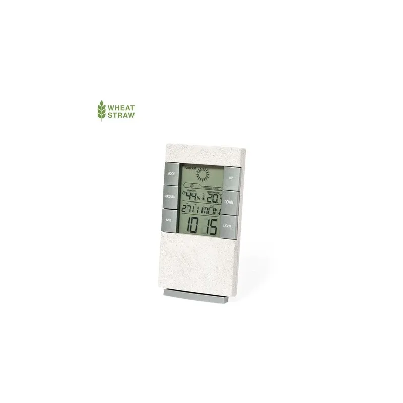 Station Météo Maginly - Élégance et Précision