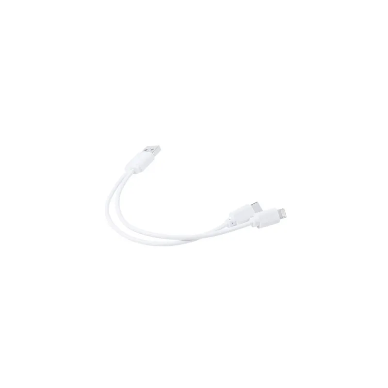 Câble de Charge Vitral - Pratique et Polyvalent