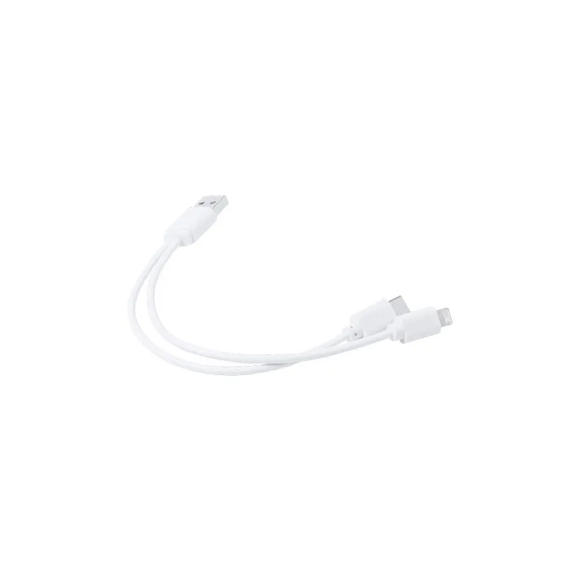 Câble de Charge Vitral - Pratique et Polyvalent