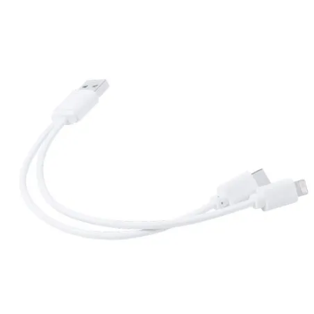 Câble de Charge Vitral - Pratique et Polyvalent