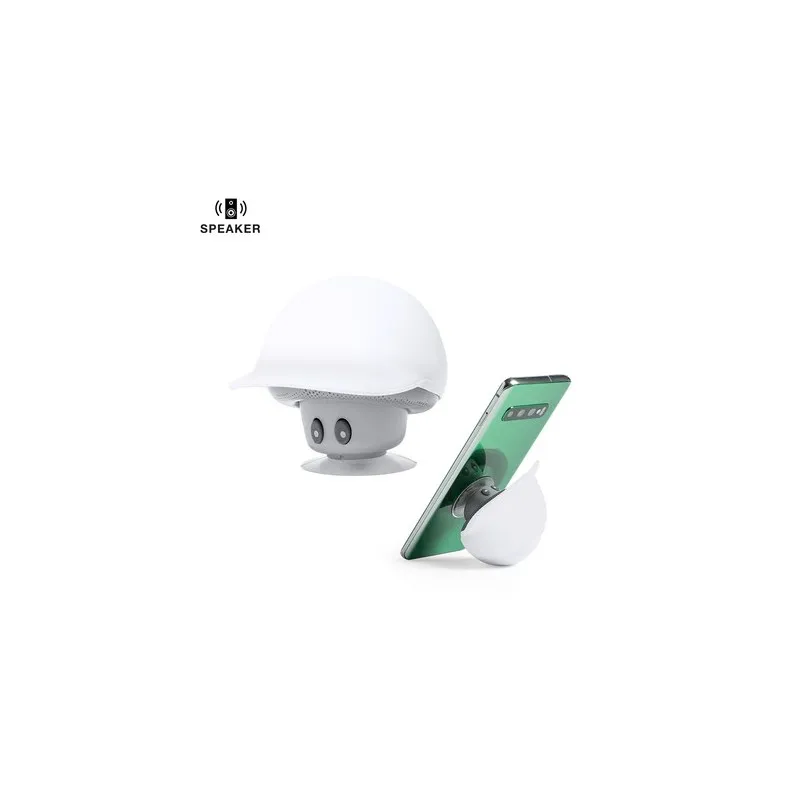 Haut-Parleurs Heston : Design Innovant et Connectivité Bluetooth