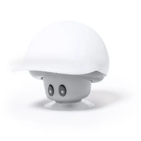 Haut-Parleurs Heston : Design Innovant et Connectivité Bluetooth