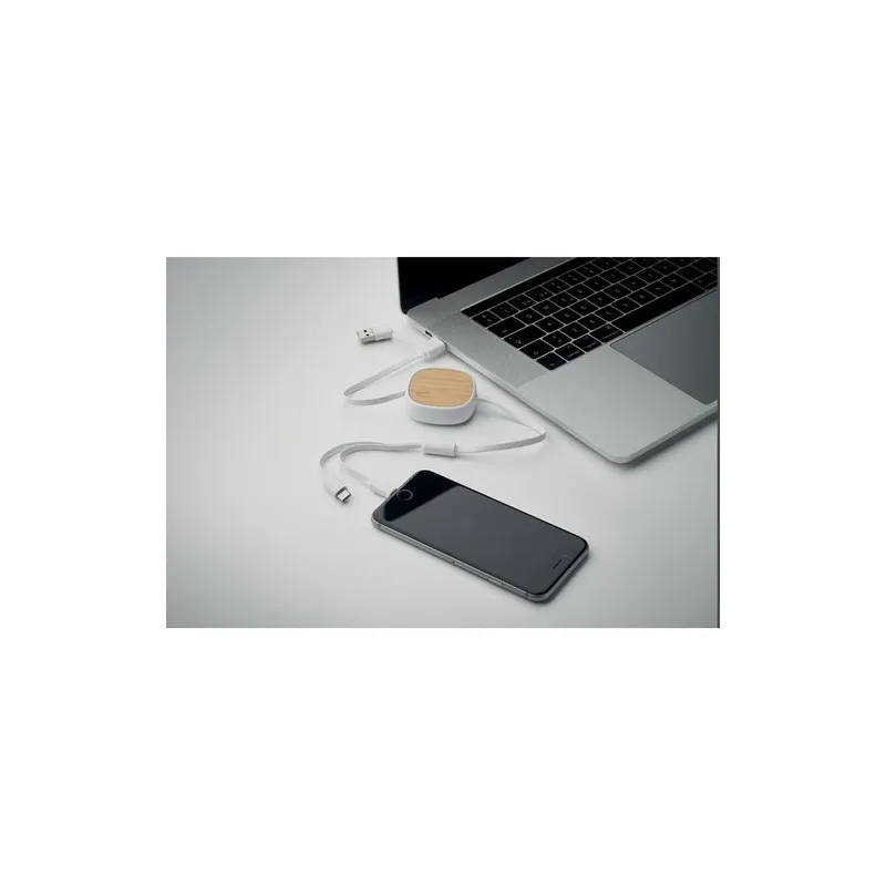 Câble de charge USB rétractable TOGOBAM