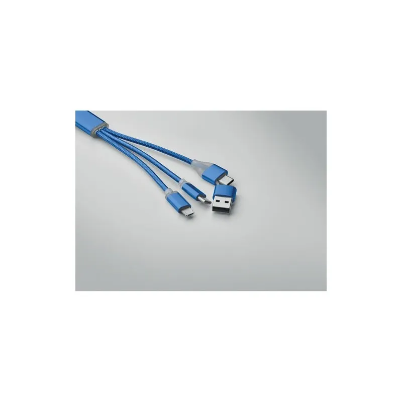 Câble de Charge 4 en 1 Type C BLUE