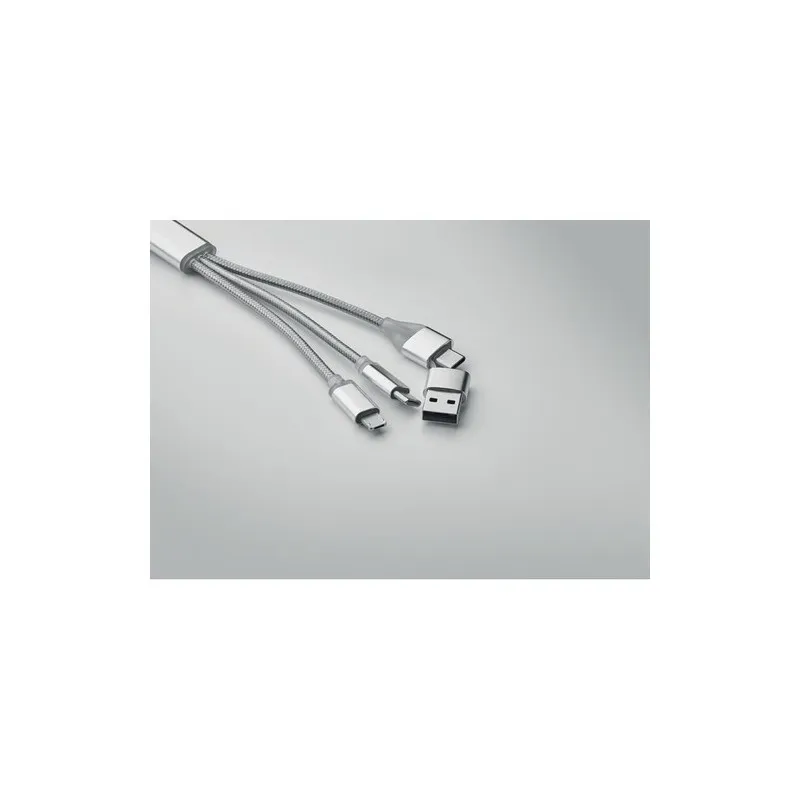 Câble de Charge 4 en 1 Type C BLUE