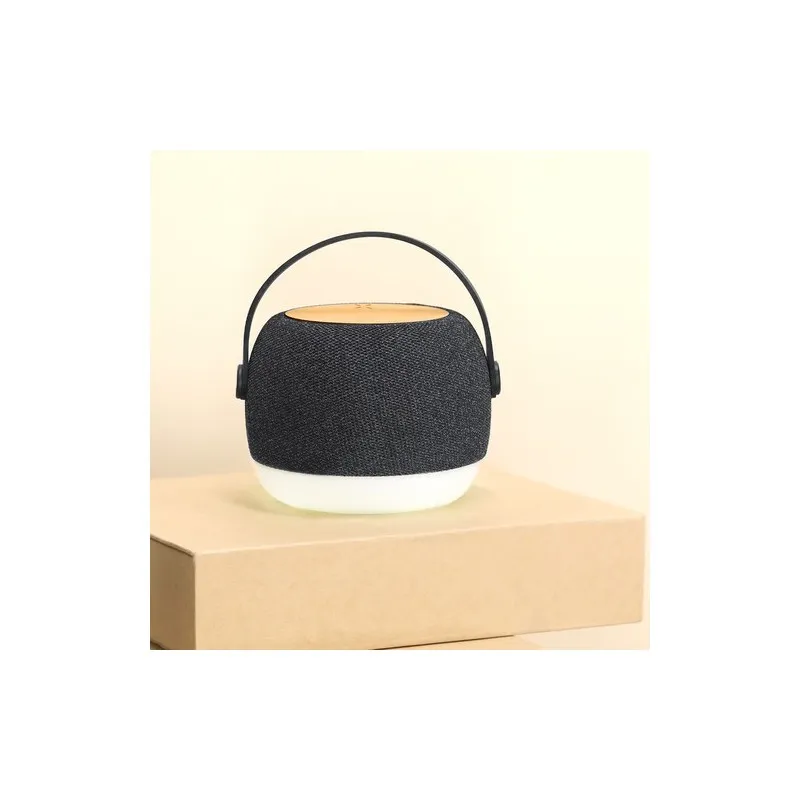 Haut-Parleurs Chargeur Sprit