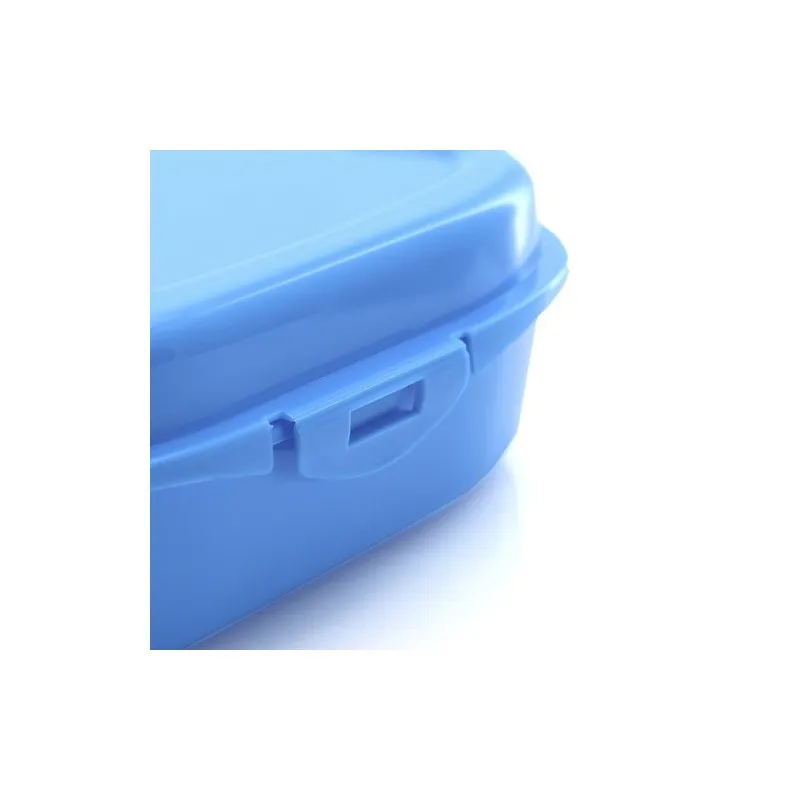 Gamelle Sandwich Noix - Lunchbox Colorée et Pratique