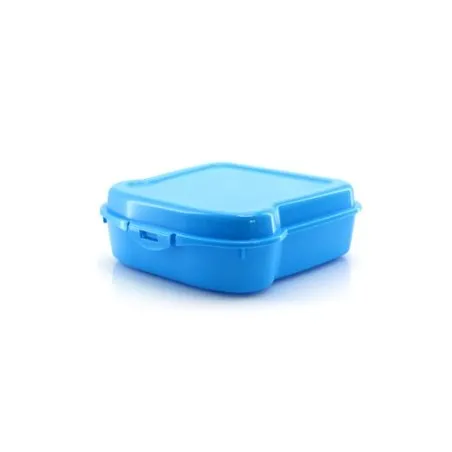 Gamelle Sandwich Noix - Lunchbox Colorée et Pratique