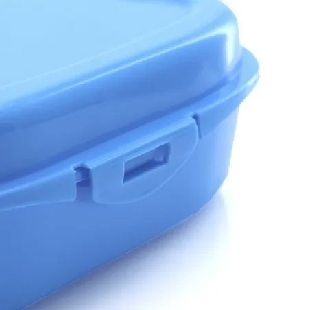 Gamelle Sandwich Noix - Lunchbox Colorée et Pratique