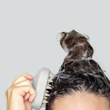 Émulsionneur Nocote - Brosse Massante Écologique