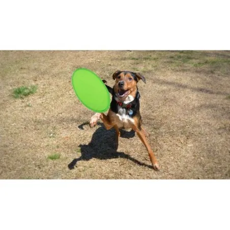 Frisbee Watson : Le Compagnon de Vos Loisirs