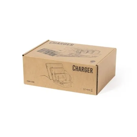 Chargeur Écologique et Pratique Personnalisé Pas Cher - Lupint Couleurs : blanc Matières : polyester recyclé livraison express 2