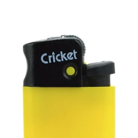Briquet Minicricket : Élégance et sécurité