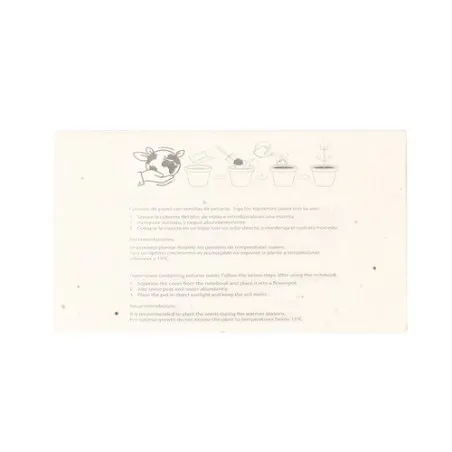 Boîte Crayons Ensemencé Fyser - Écologique et Créatif