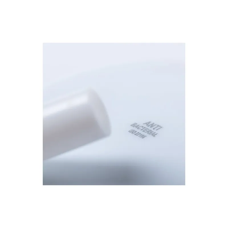 Paille Antibactérienne Ladix - Écologique et Pratique