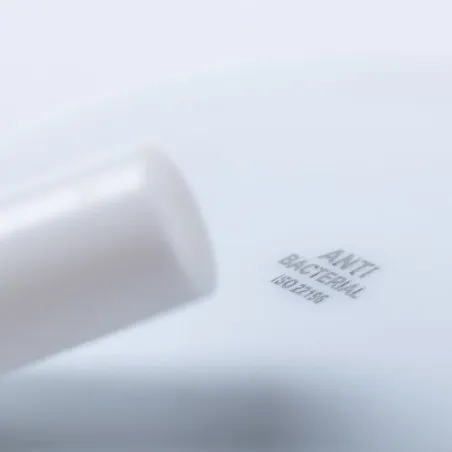 Paille Antibactérienne Ladix - Écologique et Pratique