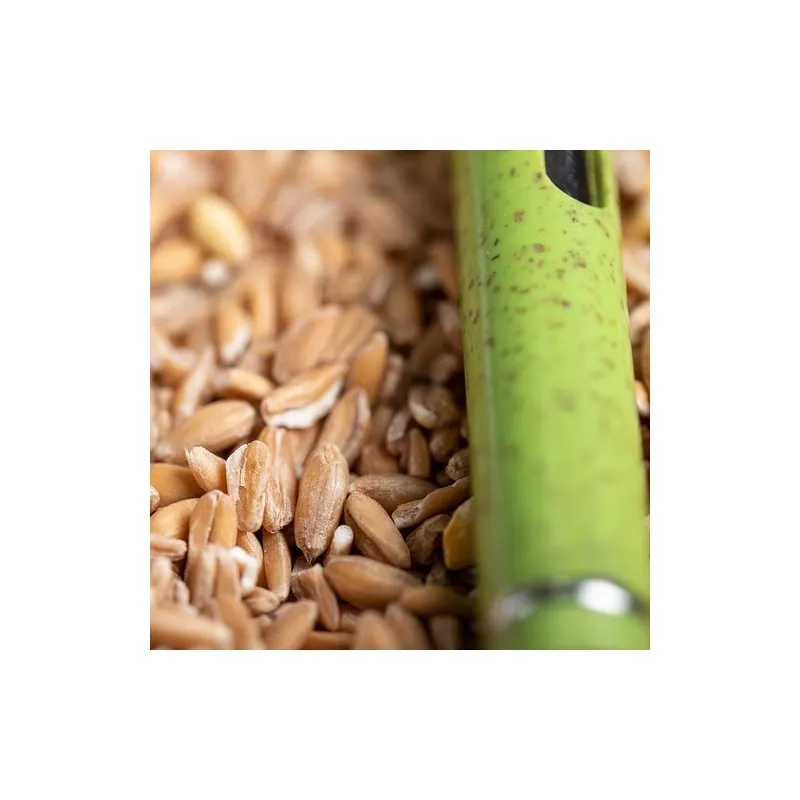 Stylo Personnalisé Écologique - Objet Publicitaire Prodox Matières : liège objet promo petit budget