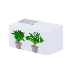 Set Pot de Fleurs Nertel - Vos Herbes Aromatiques 2