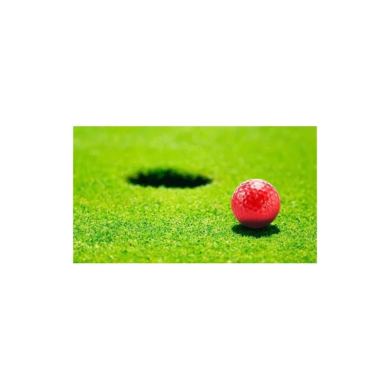 Balle de Golf Nessa - Performance et Style