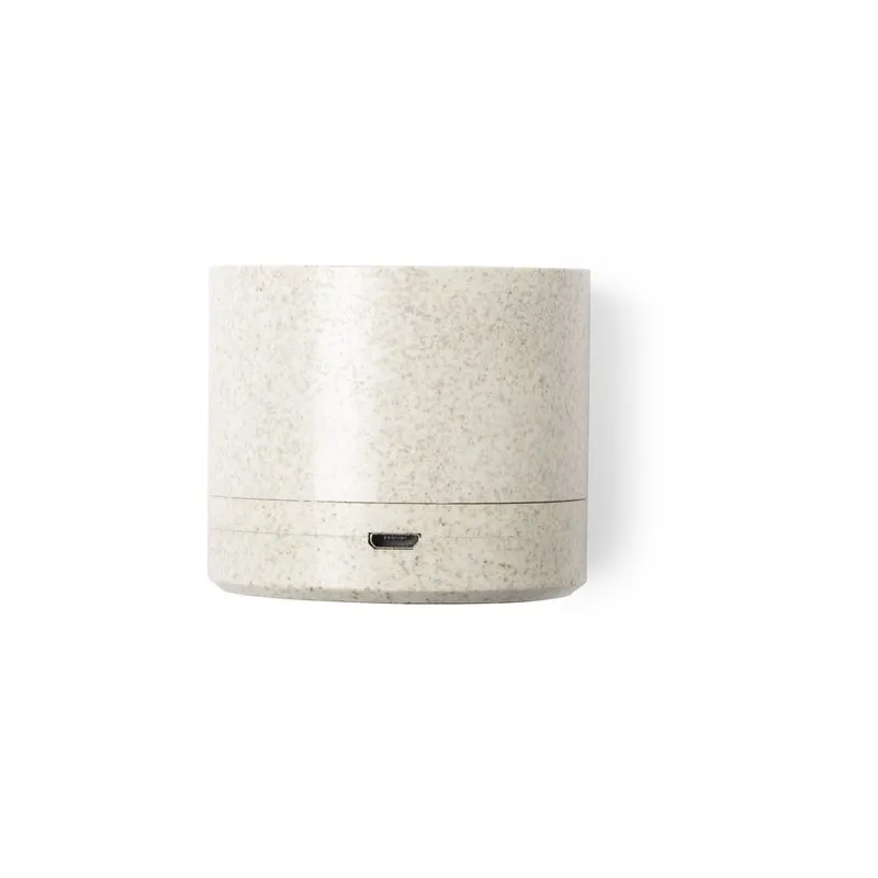 Haut-Parleur Cayren : Design Éco et Son de Qualité