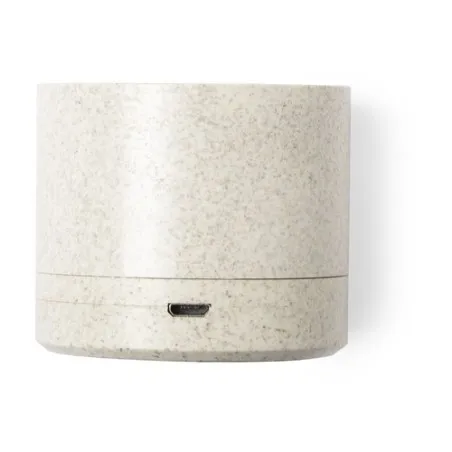 Haut-Parleur Cayren : Design Éco et Son de Qualité