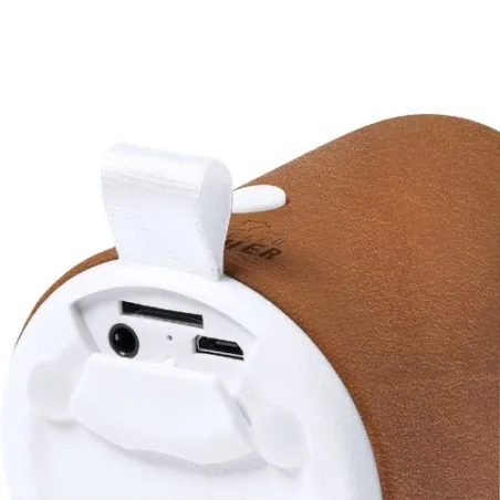 Haut-Parleur Sotep RCS - Écologique et Connecté