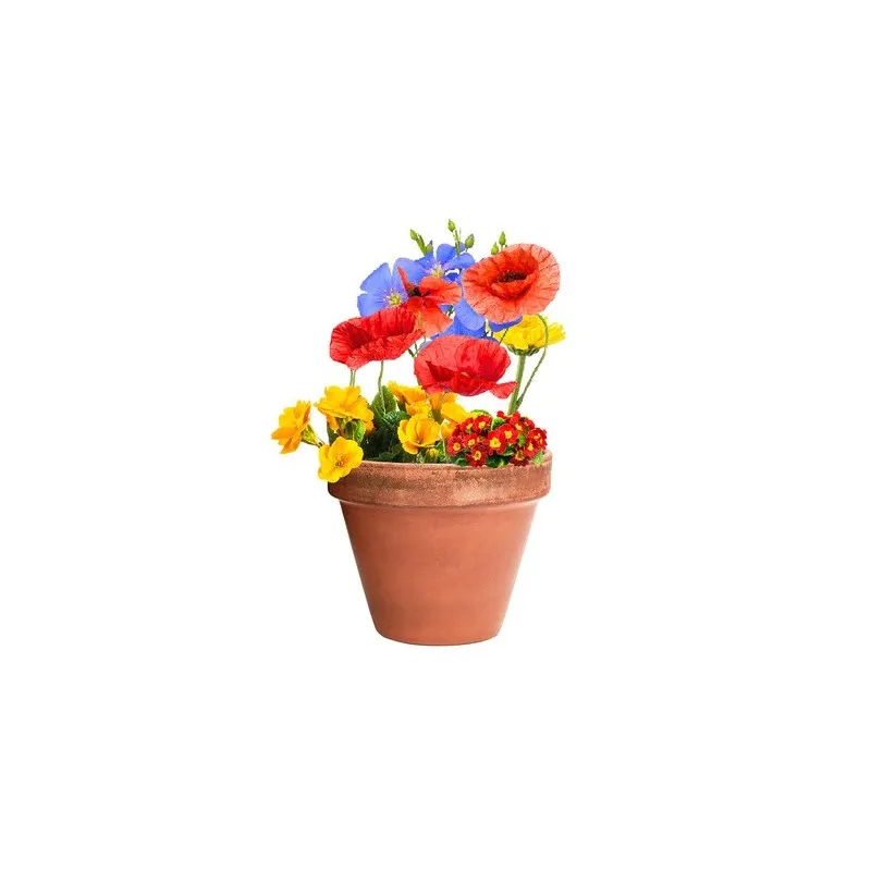 Bonbon Graines Mussox - Fleurs Sauvages Écologiques