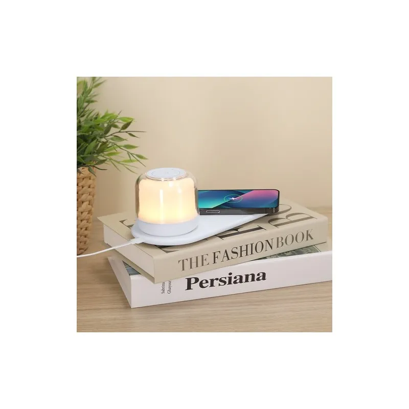 Lampe Chargeur Reginal