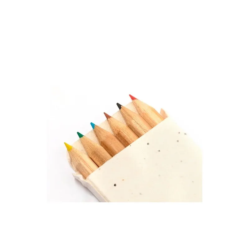 Boîte Crayons Ensemencé Delar - Éco-Responsable