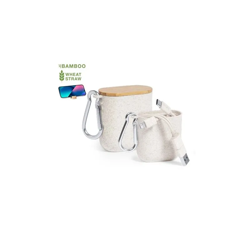 Câble de Charge Écologique et Pratique Personnalisé Brayce Matières : acier inoxydable Couleurs : blanc personnalisable avec vot