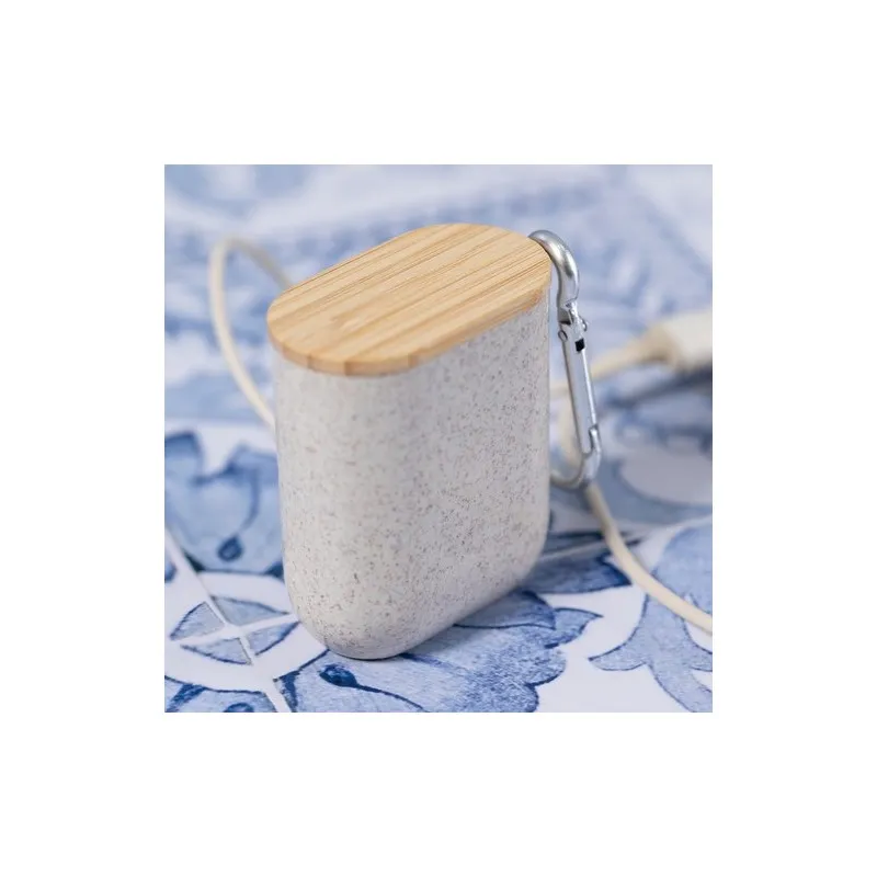 Câble de Charge Écologique et Pratique Personnalisé Brayce Matières : acier inoxydable Couleurs : blanc livraison express 24h 48