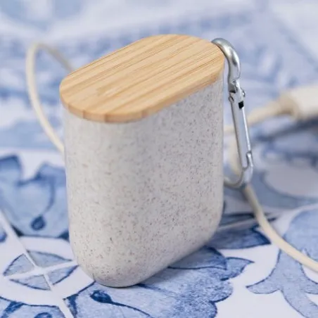 Câble de Charge Écologique et Pratique Personnalisé Brayce Matières : acier inoxydable Couleurs : blanc livraison express 24h 48